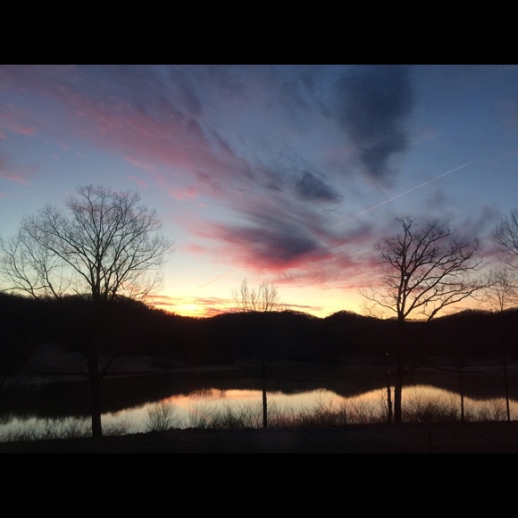 Meet your Posher, Jo - Picture 1 of 1